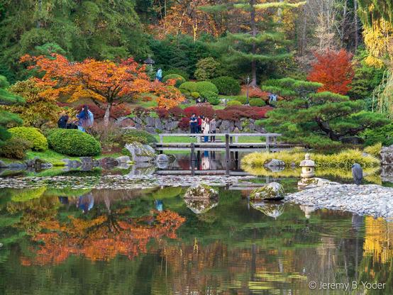 A Japanese garden-scape full of autumn-colored trees and shrubs, framing a bridge over a mirror-still pond that reflects all the colorful foliage