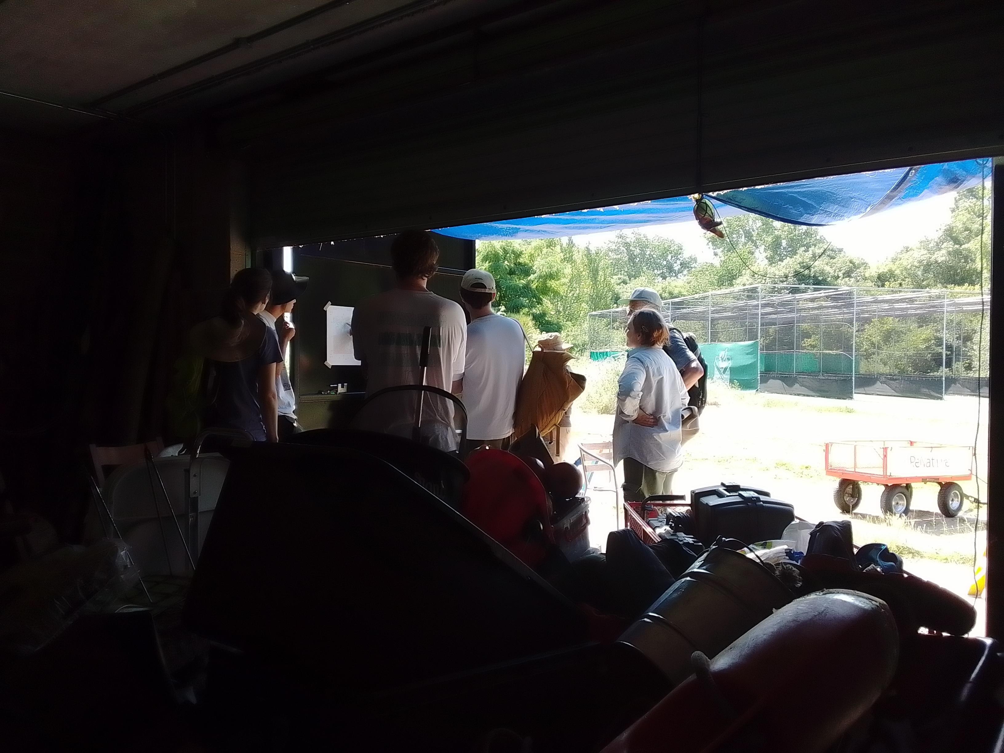 Briefing in deep shade ahead of recorders venturing out into the blazing sun.