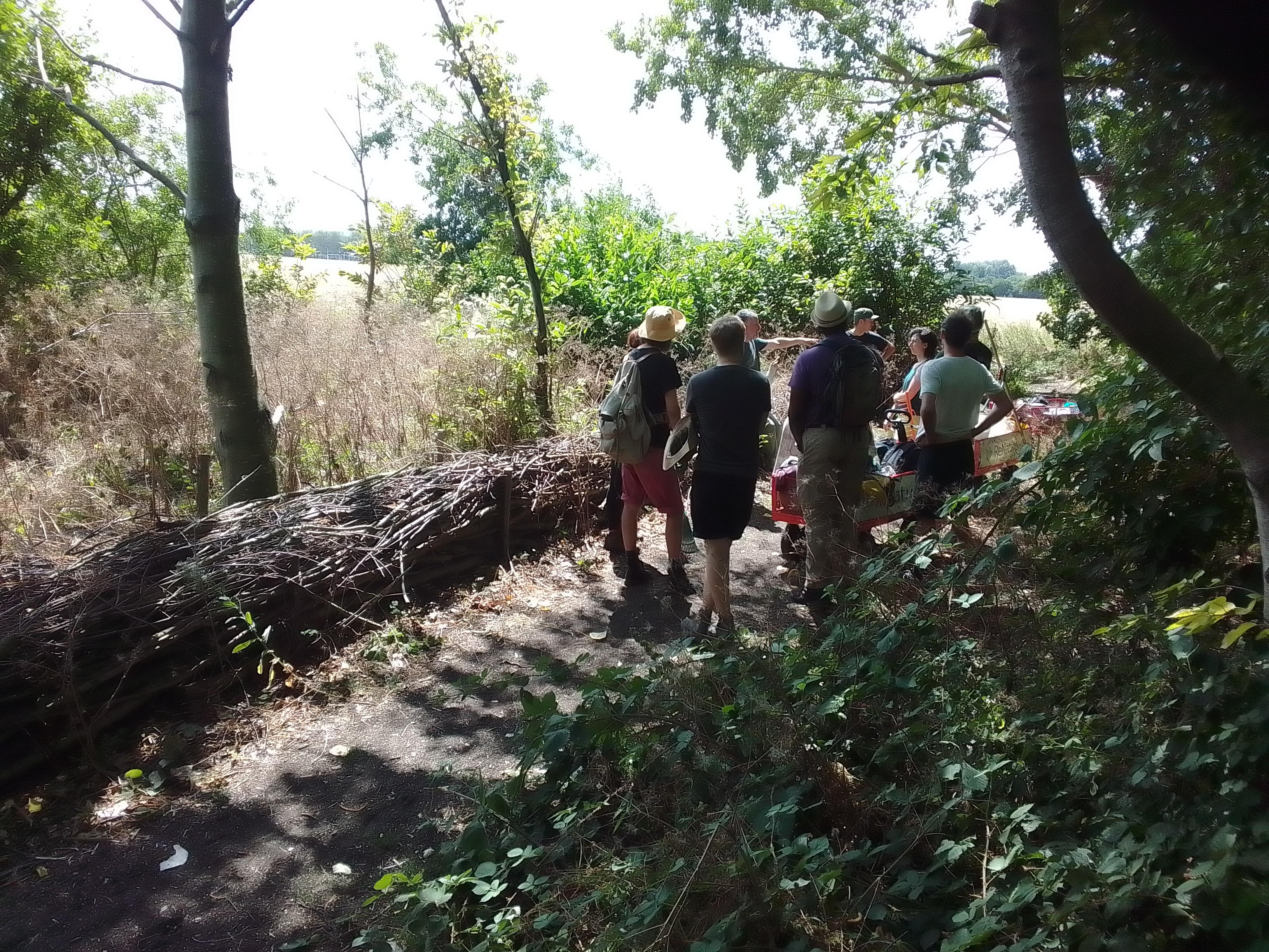 The second site we revisited today, which was also our shady lunch spot. Russell introducing our ongoing management work at Chestnut Copse.