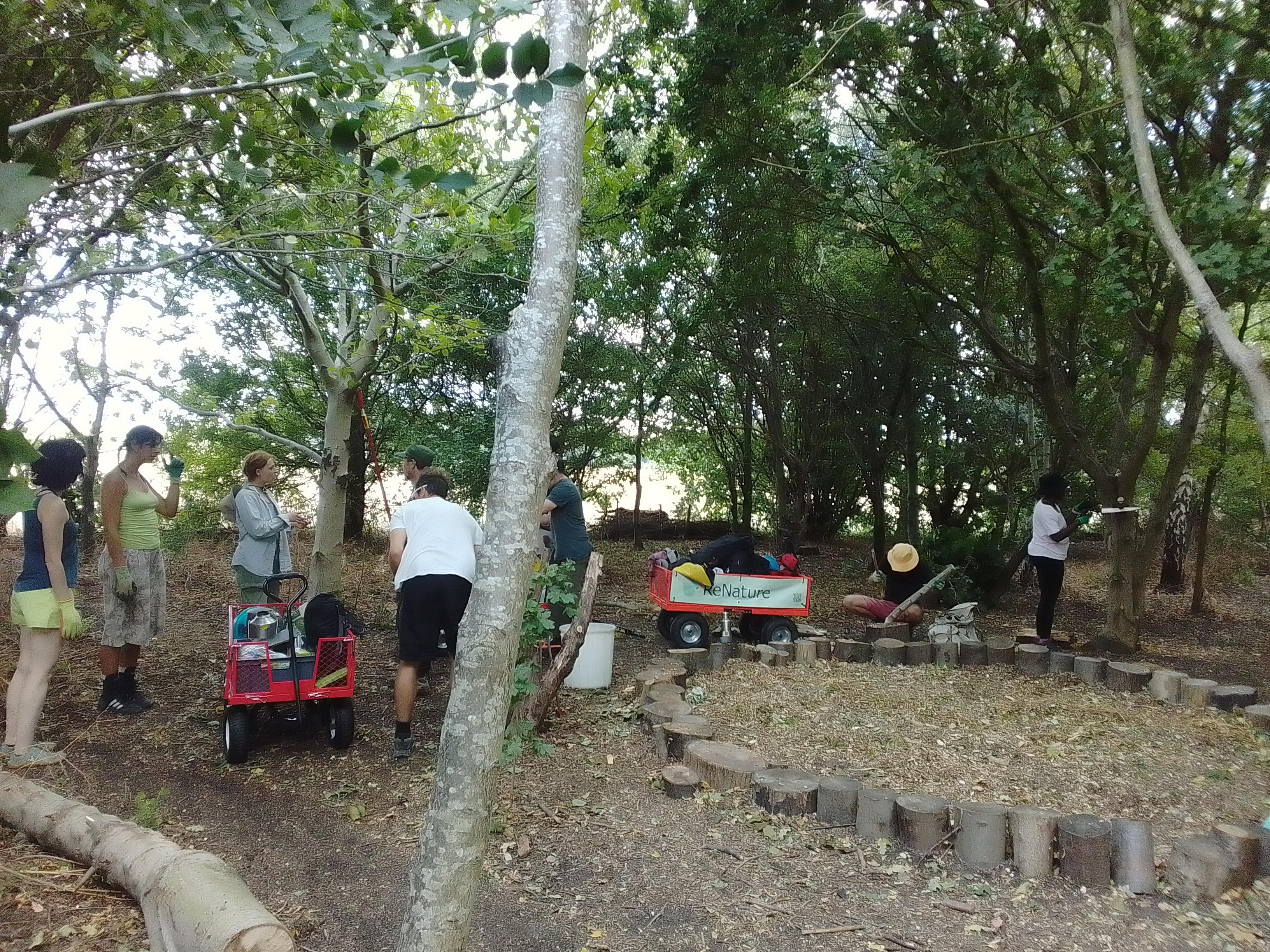 Working and talking in middle of the Green Classroom.